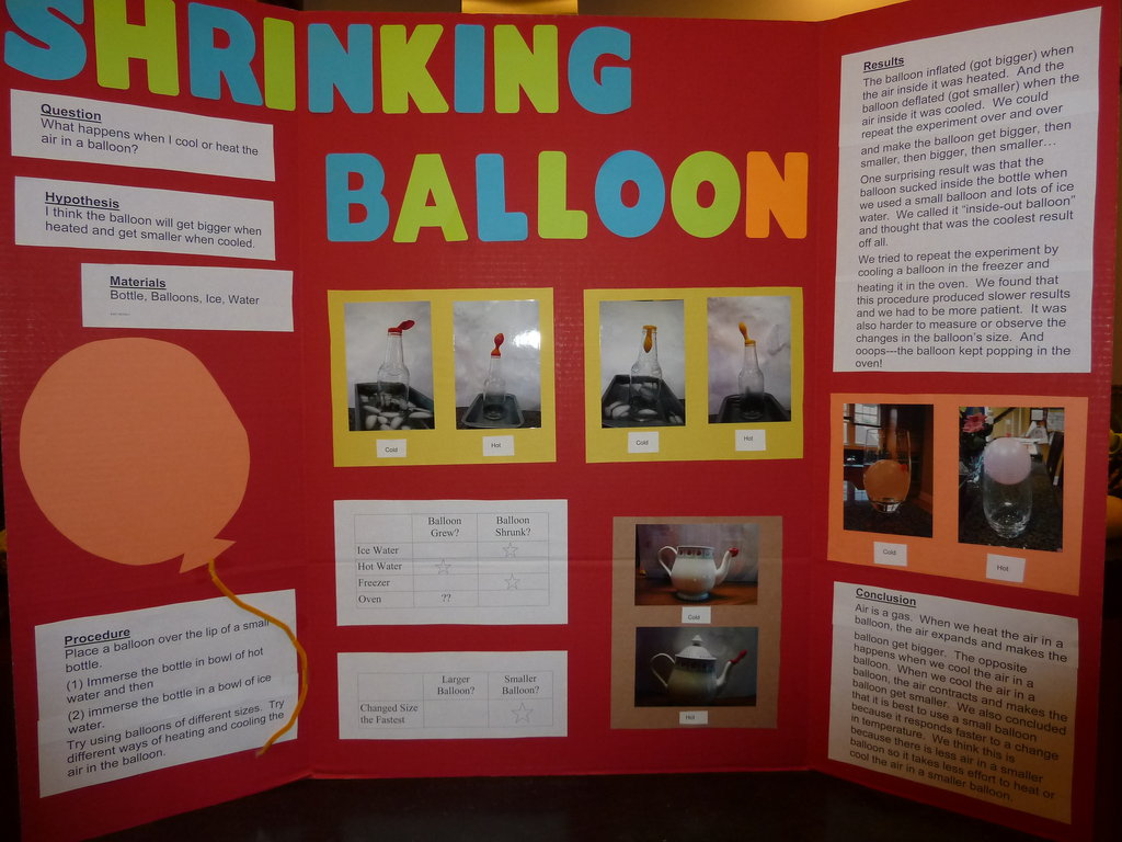 good science project titles examples